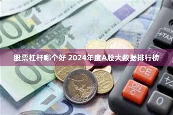 股票杠杆哪个好 2024年度A股大数据排行榜