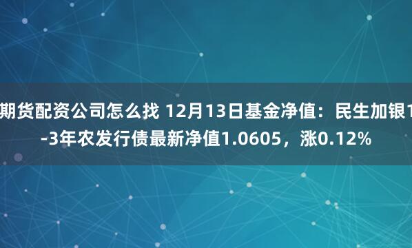 期货配资公司怎么找 12月13日基金净值：民生加银1-3年农发行债最新净值1.0605，涨0.12%