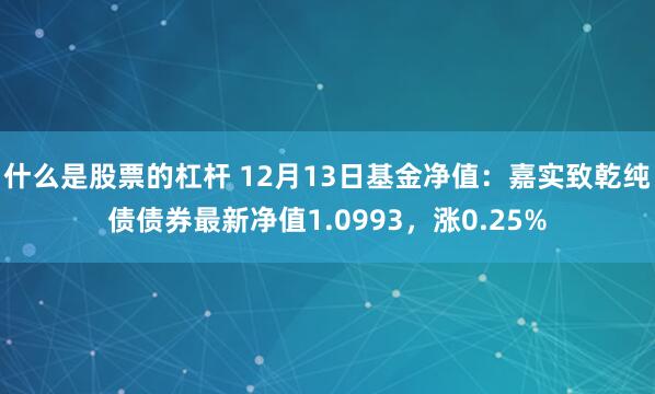 什么是股票的杠杆 12月13日基金净值：嘉实致乾纯债债券最新净值1.0993，涨0.25%