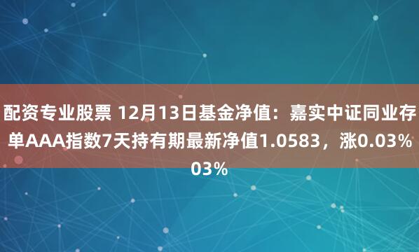 配资专业股票 12月13日基金净值：嘉实中证同业存单AAA指数7天持有期最新净值1.0583，涨0.03%