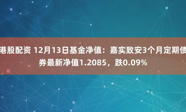 港股配资 12月13日基金净值：嘉实致安3个月定期债券最新净值1.2085，跌0.09%