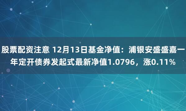 股票配资注意 12月13日基金净值：浦银安盛盛嘉一年定开债券发起式最新净值1.0796，涨0.11%