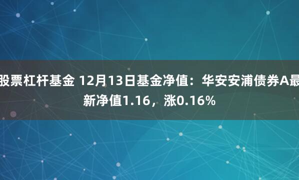 股票杠杆基金 12月13日基金净值：华安安浦债券A最新净值1.16，涨0.16%