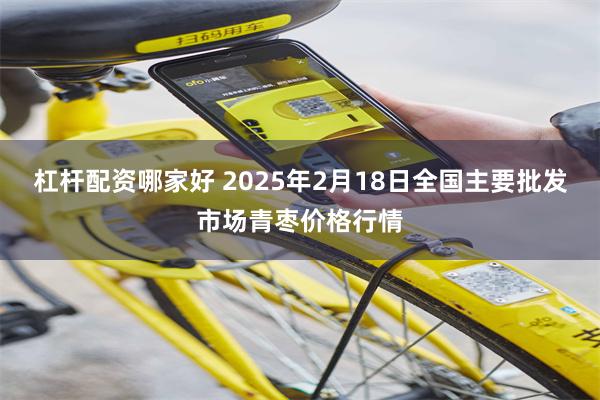 杠杆配资哪家好 2025年2月18日全国主要批发市场青枣价格行情