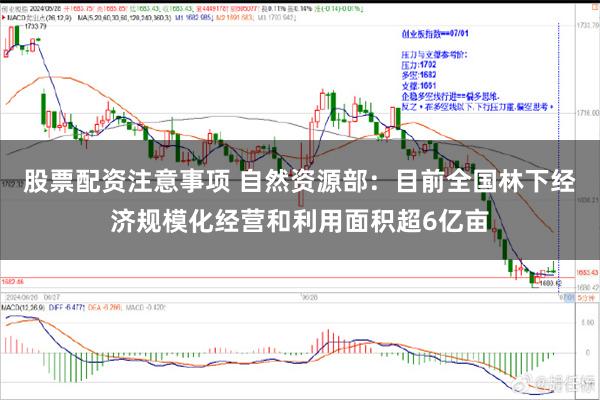 股票配资注意事项 自然资源部：目前全国林下经济规模化经营和利用面积超6亿亩