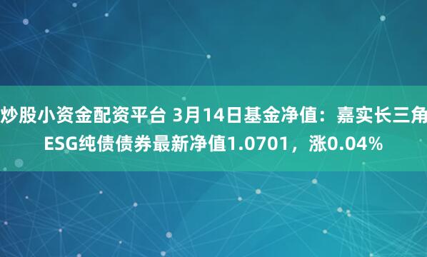 炒股小资金配资平台 3月14日基金净值：嘉实长三角ESG纯债债券最新净值1.0701，涨0.04%